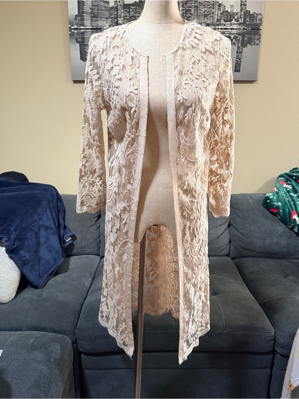 Adrianna Papell Lace Cover Up